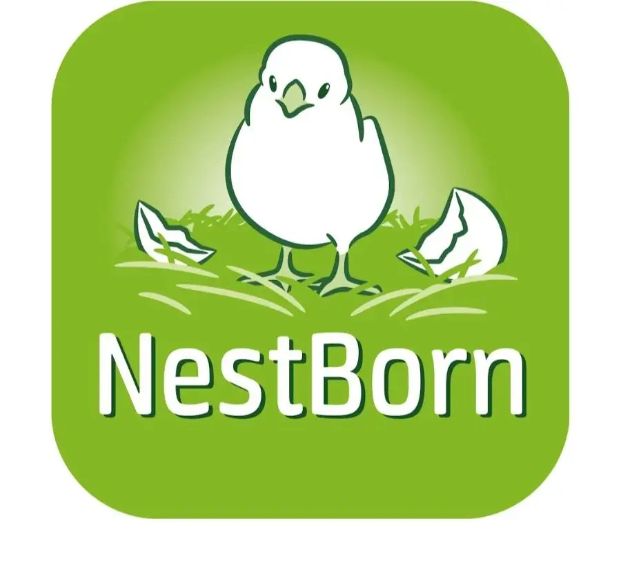 NestBorn logo