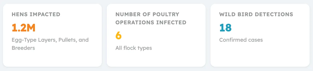 HPAI dashboard metrics for hens, poultry operations, and wild bird detections